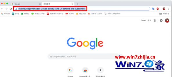 win10ϵͳֹChromeURLwwwķ